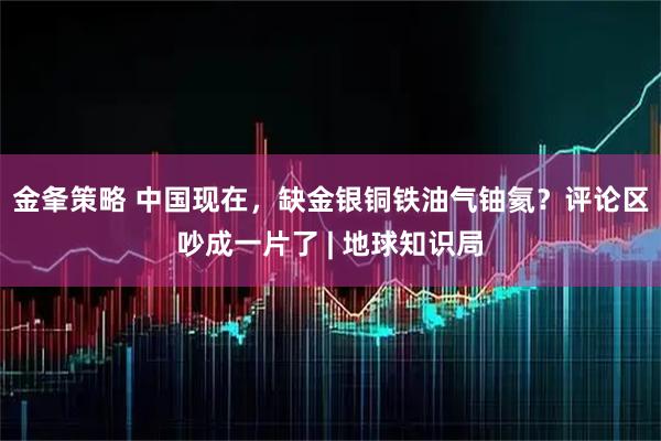 金夆策略 中国现在，缺金银铜铁油气铀氦？评论区吵成一片了 | 地球知识局
