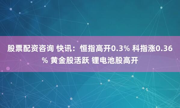 股票配资咨询 快讯：恒指高开0.3% 科指涨0.36% 黄金股活跃 锂电池股高开