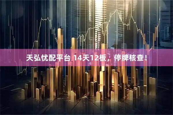 天弘忧配平台 14天12板，停牌核查！