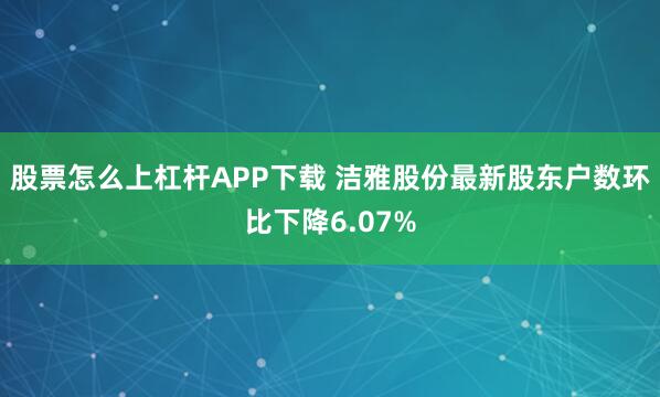 股票怎么上杠杆APP下载 洁雅股份最新股东户数环比下降6.07%